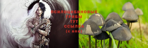 не бодяженный Баксан