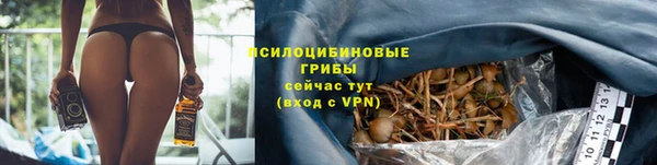 дурь Балахна