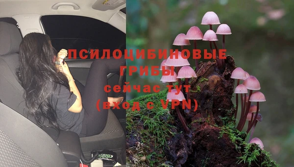 гашик Армянск